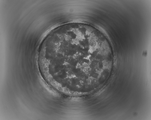 X0000113981043200910231704