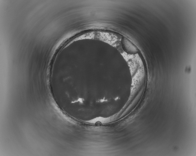 X0000113981045200910231704