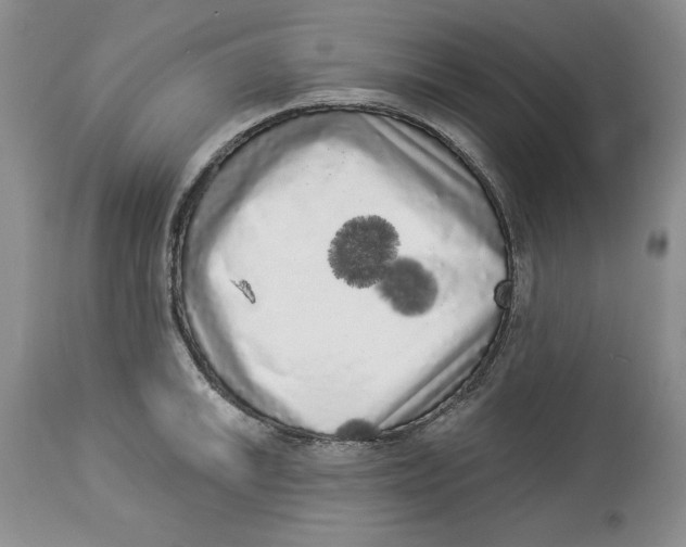 X0000113981046200910231704