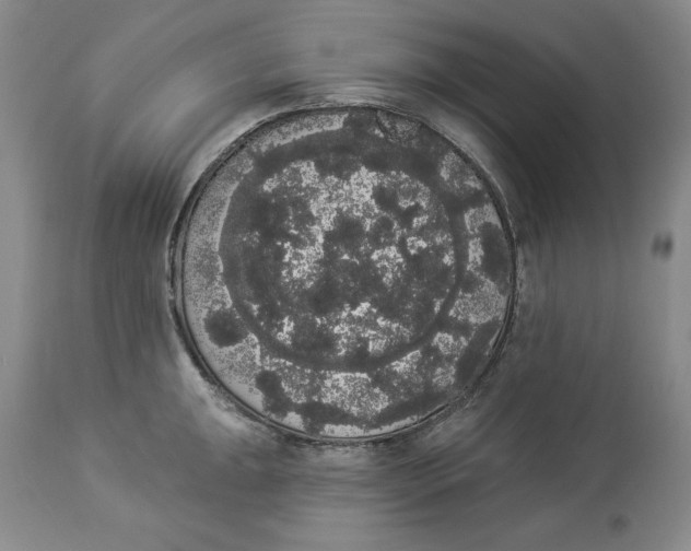 X0000113981047200910231704