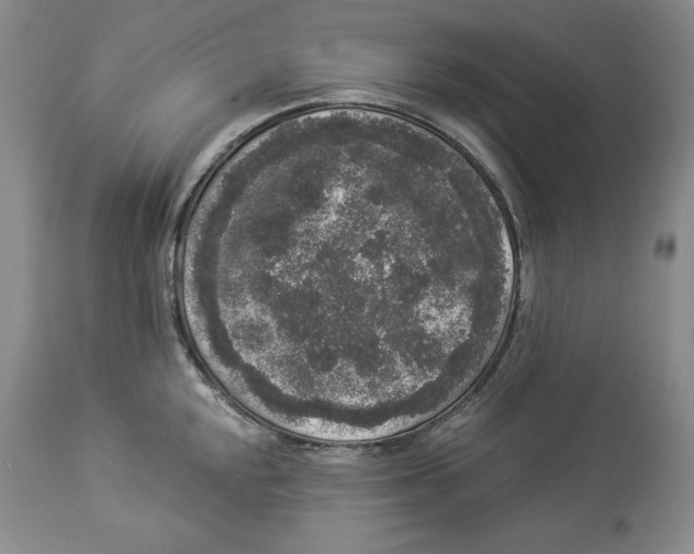 X0000113981048200910231704