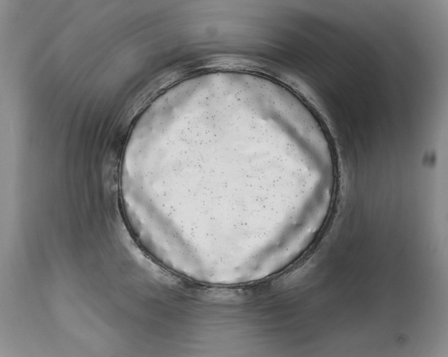 X0000113981049200910231704