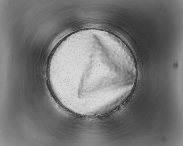 X0000113981050200910231704