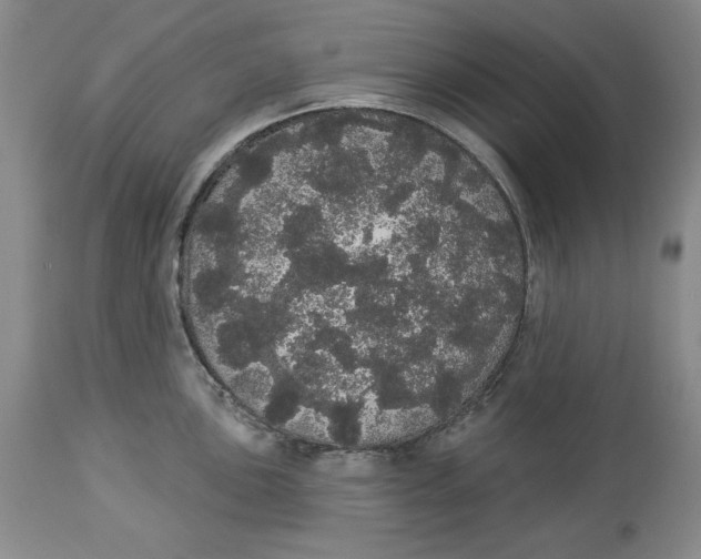 X0000113981051200910231704