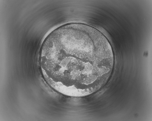 X0000113981052200910231704