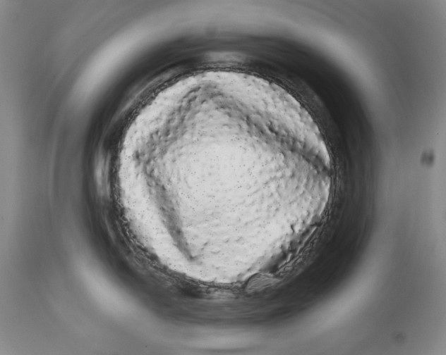 X0000113981054200910231704