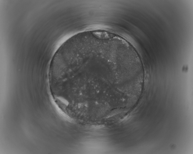 X0000113981055200910231704