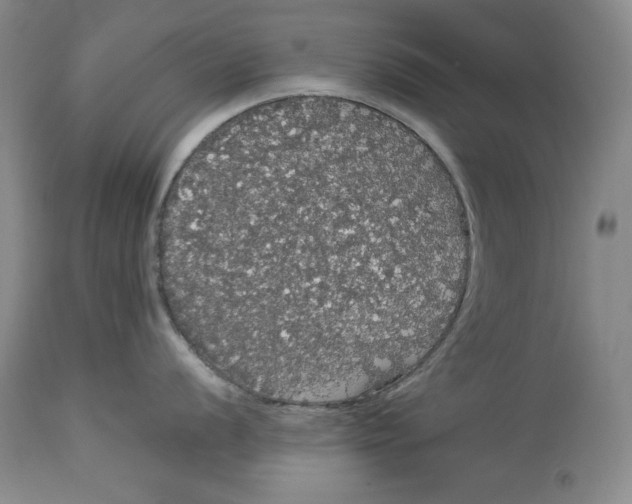 X0000113981056200910231704