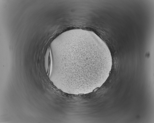 X0000113981057200910231703