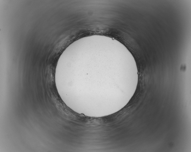 X0000113981058200910231703