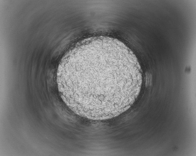 X0000113981059200910231703