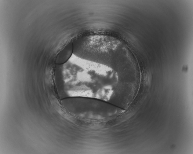 X0000113981060200910231703