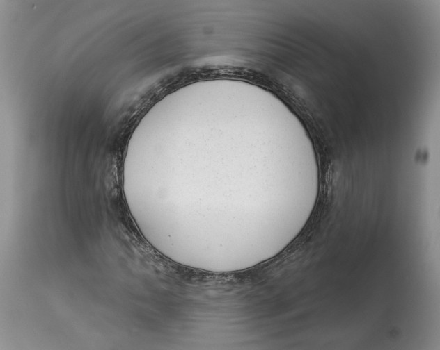 X0000113981062200910231703