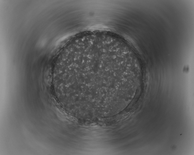 X0000113981063200910231703