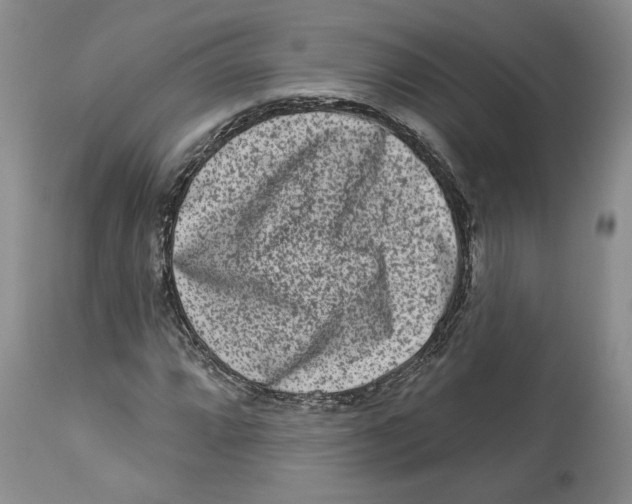 X0000113981064200910231703