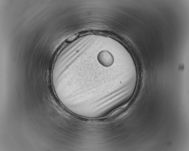 X0000113981065200910231703