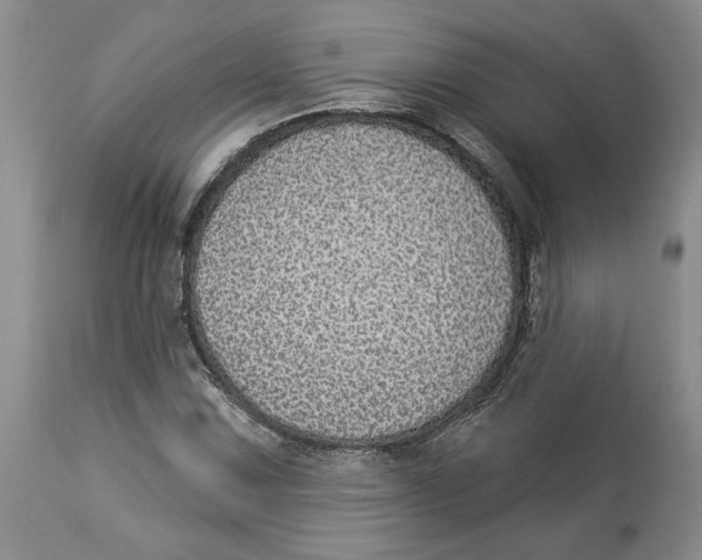 X0000113981067200910231703