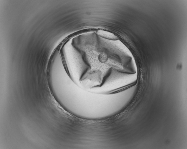 X0000113981068200910231703