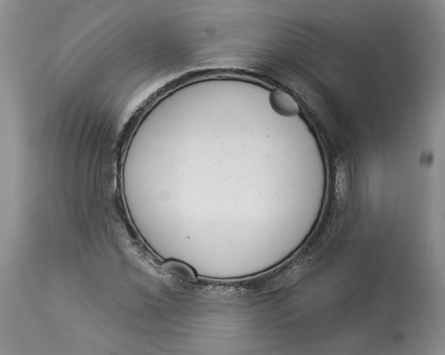 X0000113981069200910231703