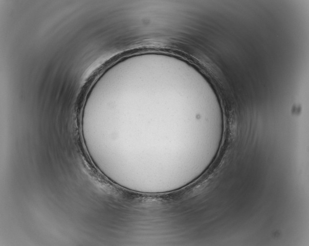 X0000113981070200910231703