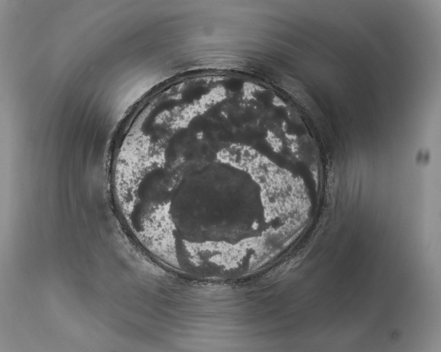 X0000113981071200910231703