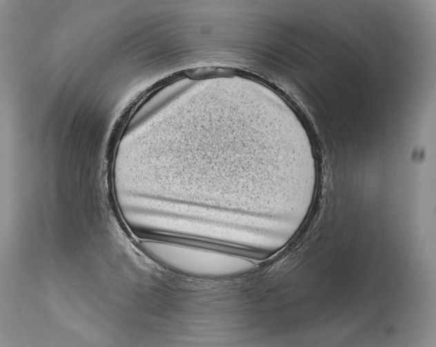 X0000113981072200910231703