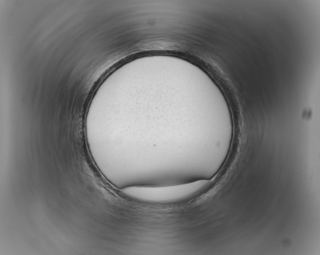 X0000113981073200910231703