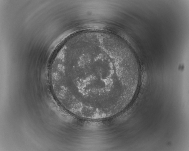 X0000113981074200910231703