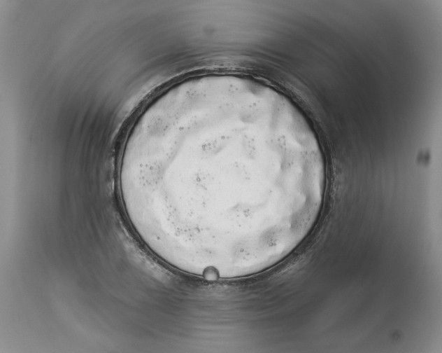 X0000113981075200910231703