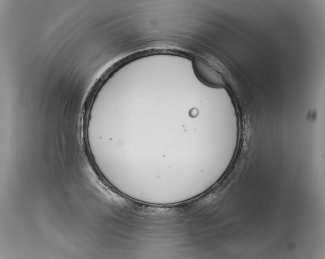 X0000113981076200910231703