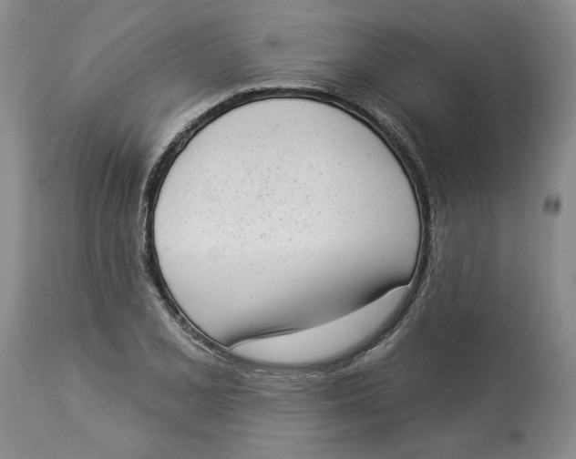 X0000113981077200910231703