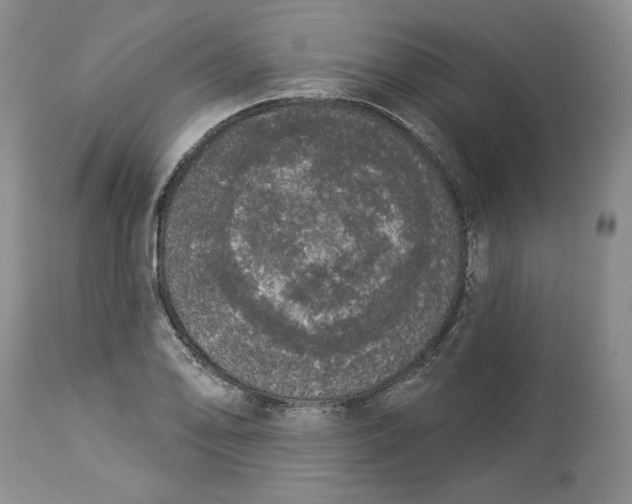 X0000113981078200910231703