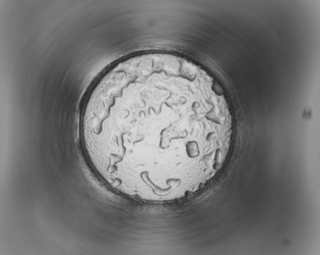 X0000113981079200910231703