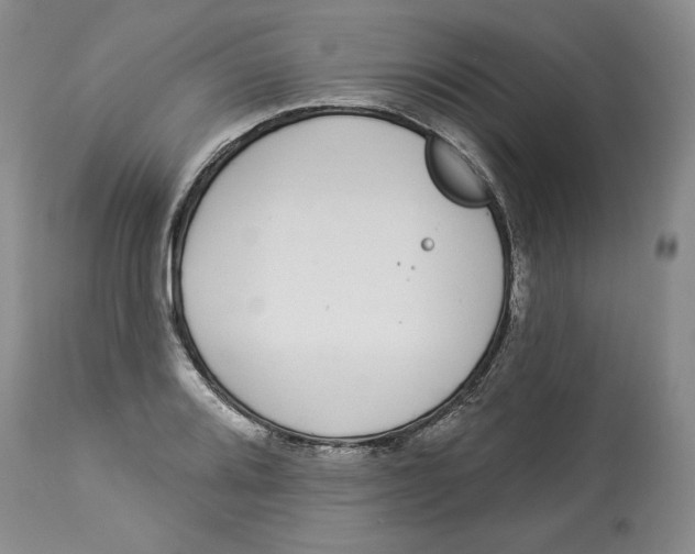 X0000113981080200910231703