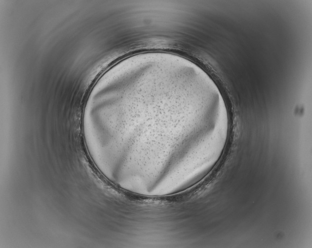 X0000113981081200910231703