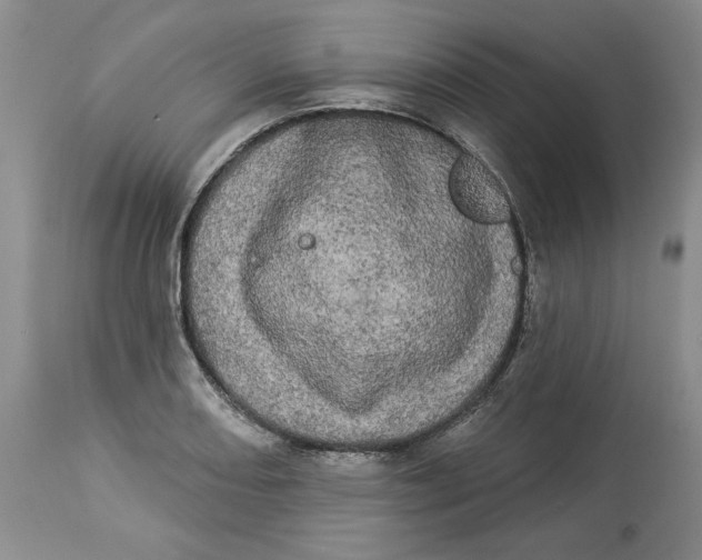 X0000113981082200910231703