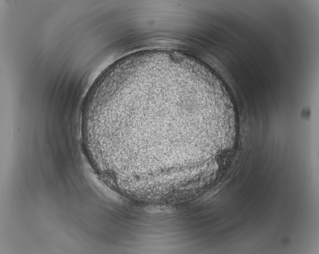 X0000113981083200910231703