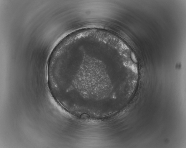 X0000113981084200910231703