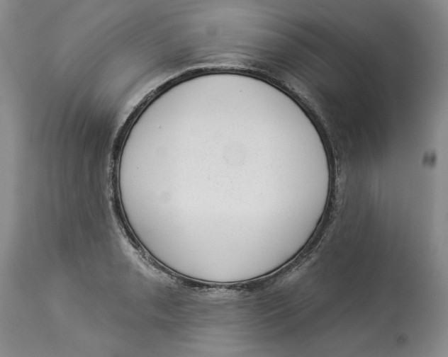 X0000113981085200910231703