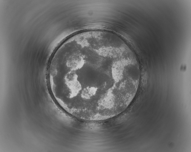 X0000113981086200910231703