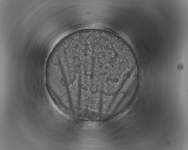 X0000113981087200910231703