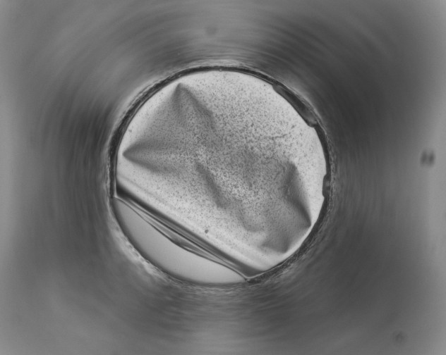 X0000113981088200910231703