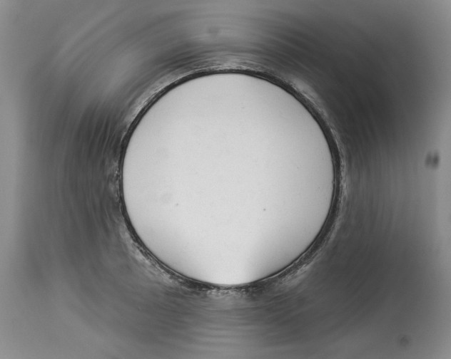 X0000113981089200910231703