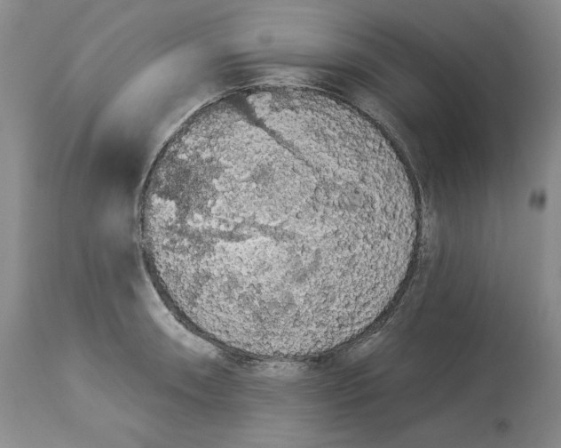 X0000113981090200910231703