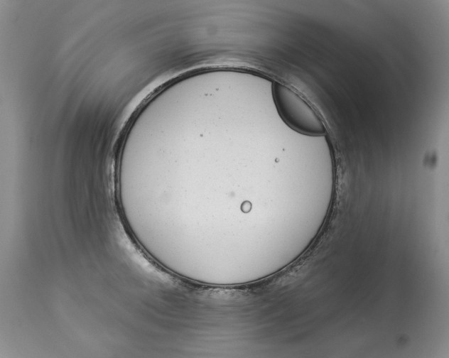 X0000113981092200910231703