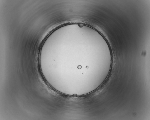 X0000113981093200910231703