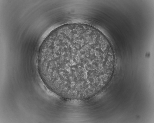 X0000113981094200910231703