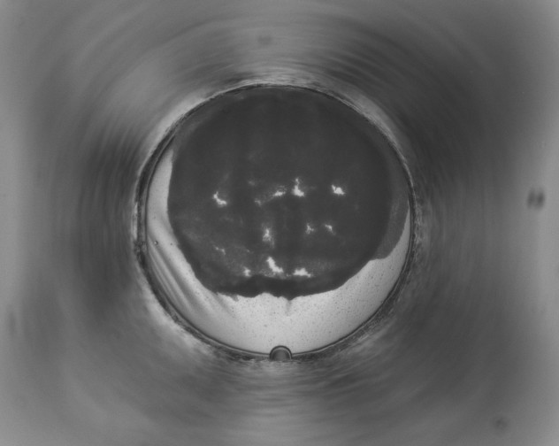 X0000113981095200910231703