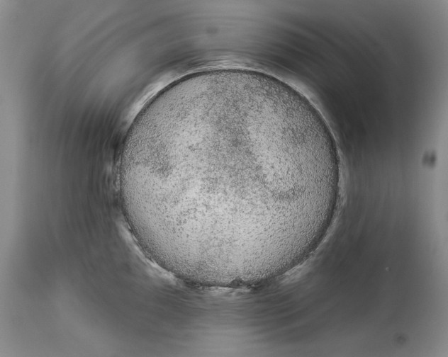 X0000113981097200910231703