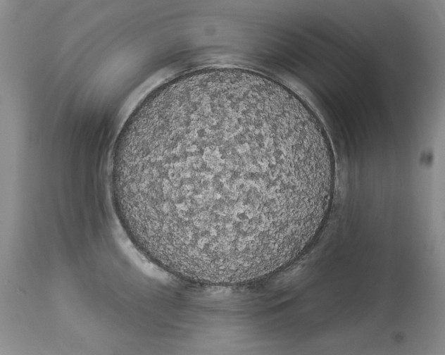 X0000113981098200910231702